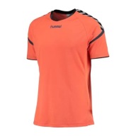 Спортивна Футболка Hummel Authentic Charge Poly Jersey, Помаранчева, Розмір L