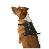 5.11 Mission Ready Dog Harness Volcanic [Розмір L/Xl]