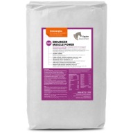 Препарат Muscle Mass Для Коней Equine Nutriplan Enhancer Muscle