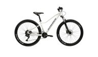 Kross Lea 5.0 29