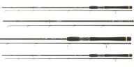 Сучасний Спінінг Daiwa Legalis Spin 240/50-100Г