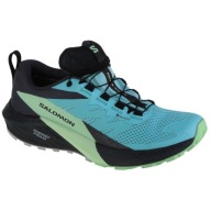 Salomon Кросівки Salomon Sense Ride 5 Gtx W