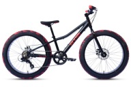 Алюмінієві Fat Bike Wynn 24