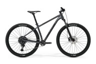 Гірський Велосипед Merida Big.nine 200 Silver 29