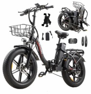 Електромобіль Pasebike P20 Pro 1000W 23Ah 50Km/H 100Km Масляне Гальмо