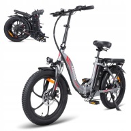 Жіночий/Чоловічий Електровелосипед Fafrees F20 250W 16Ah 20*3.0 E-Bike Foldable