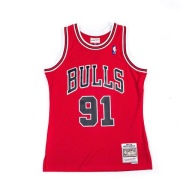 Мітчелл Несс Nba Джерсі Чикаго Буллз 1997-98 Денніс Родман S
