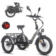 Fafrees F20 Mate Electric Cargo Trike 750W 30Km/H Long Range 20