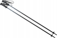 Палиці Для Гірських Лиж Elan Rockrod 110См
