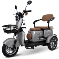 Електричний Триколісний Велосипед Freejoyer Fv6 1000W Engine 60V20Ah 25Km/H 55Km Range