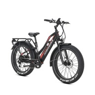 Електровелосипед Jobobike Robin Plus Чорний St