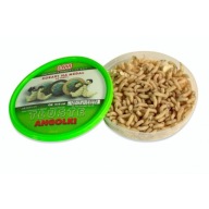 White Worm Liwi Fat Англійський 100Мл