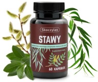 Skoczylas Joints 60 Капсул Кістки Антиоксидант Віт Е Ашваганда Бор Марганець