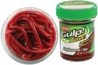 Запах Смак Жертви Berkley Angle Worm 3Cm Red Wiggler Gulp! Живий Берклі