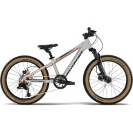 Дитячий Велосипед Eightshot X-Coady 20 Fs Disc/ 7 Grey