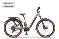 Електровелосипед Ecobike Flex Titan