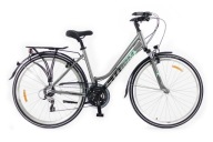 Жіночий Трекінговий Велосипед Storm Marathon 5.0 Lady Ltd Silver And Sea 19