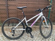 Велосипед Rock Rider 300