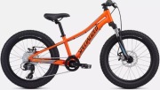 Specialized Riprock Children's Bicycle, 20 Wheels (2021 Model), Brake. Щитоподібна Залоза.