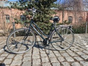 Giant Jubilee Special Edition 28