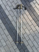 Лижні Палиці