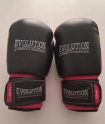 Боксерські Рукавички Evolution Sparring 12 Oz