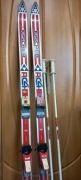 Гірські Лижі Fischer Rc4