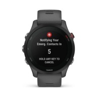 Спортивний Годинник Garmin Forerunner 255 Сірий (010-02641-10)